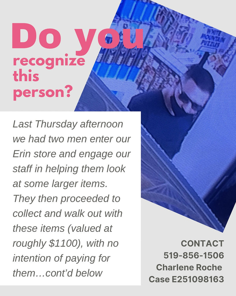 Theft at Brighten Up Toys & Games - Erin