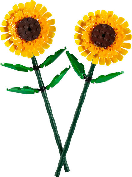 Sunflowers (40524)