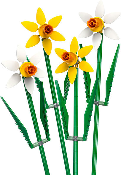 Daffodils (40747)