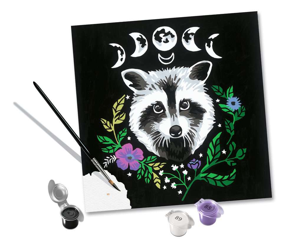 Pixie Cold: Racoon (CreArt Painting by Number) – Brighten Up Toys & Games