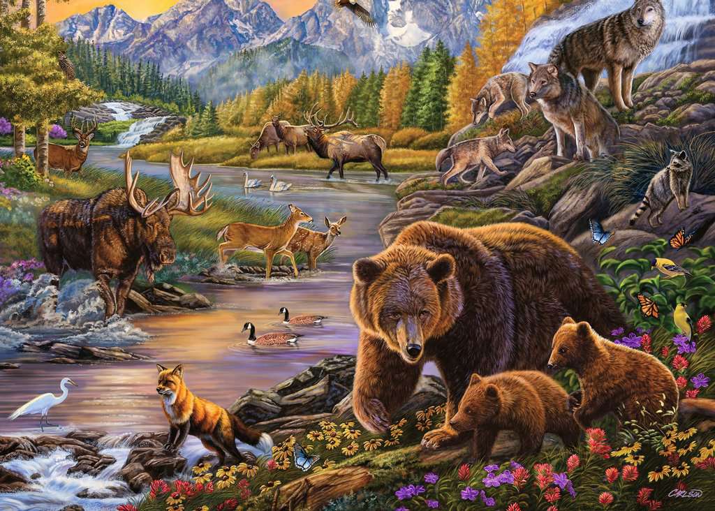 Wilderness - 500 Piece Large Format Puzzle