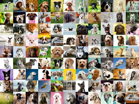 99 Lovable Dogs (750 pc)