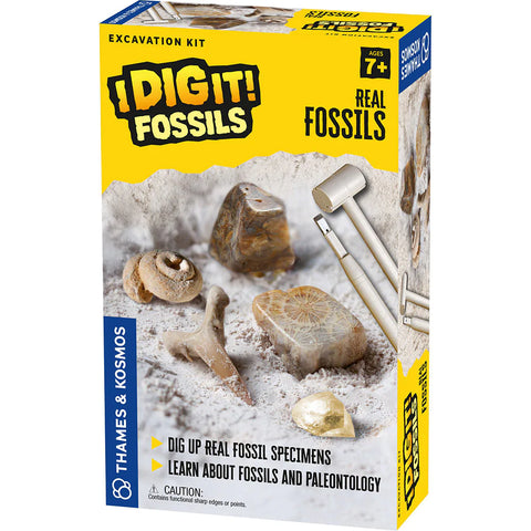 I Dig It! Real Fossils Excavation Kit