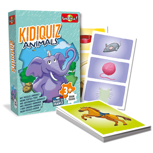 Kidiquiz Brighten Up Toys & Games