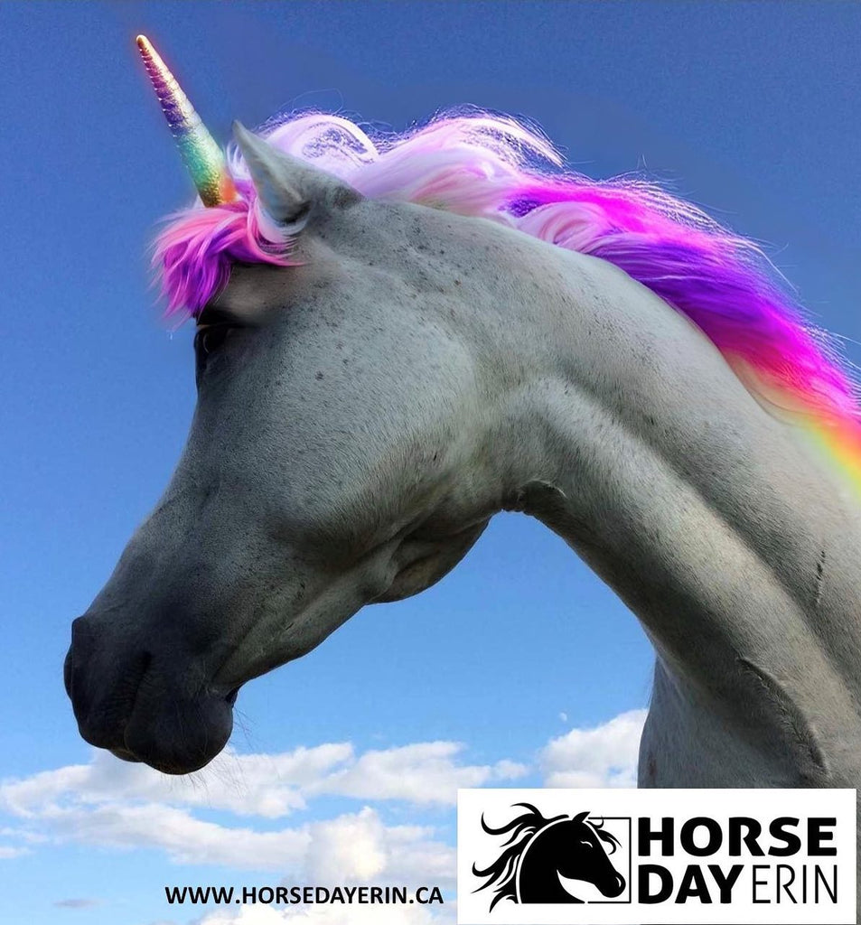 Brighten Up Proudly Sponsors the Magic of Unicorns at Horse Day Erin!