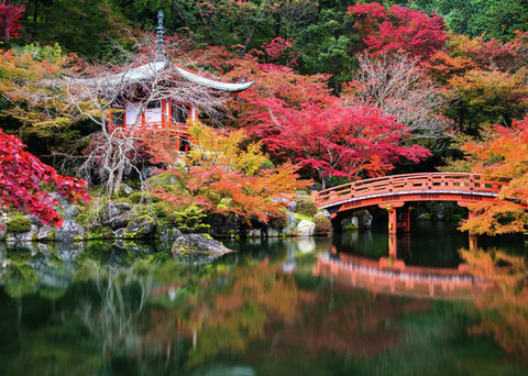 Daigo-ji, Kyoto, Japan (Beautiful Gardens collection)