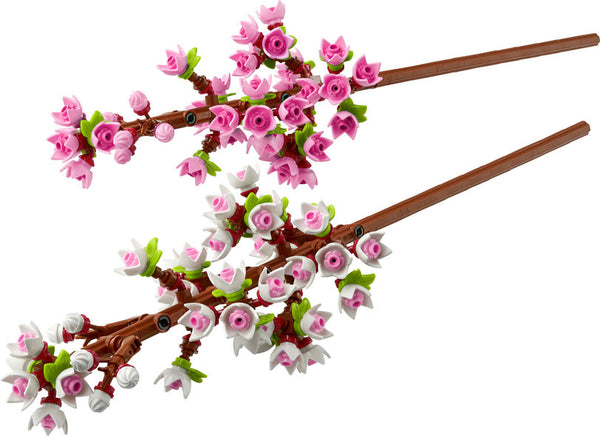 Cherry Blossoms (40725)