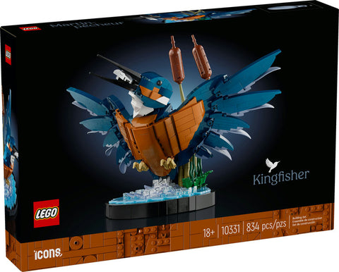 Kingfisher Bird (10331)