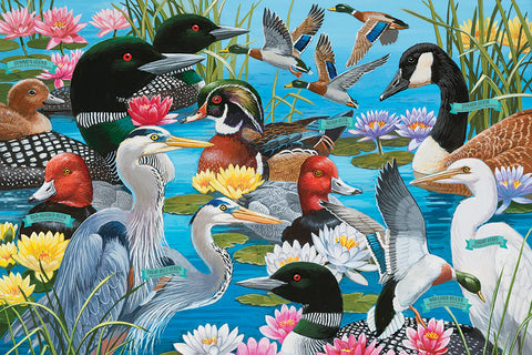 Water Birds (floor puzzle)