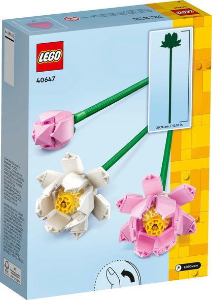 Lotus Flowers (40647)