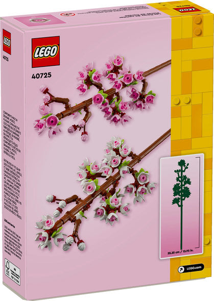 Cherry Blossoms (40725)
