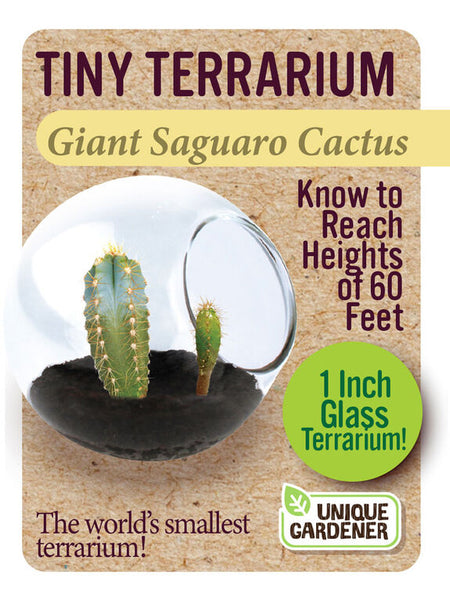 Terrarium Kits - Toys by Nature