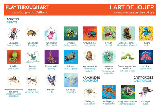Memory Game: Discovering Bugs and Crawlies (Lalita's Art Shop)