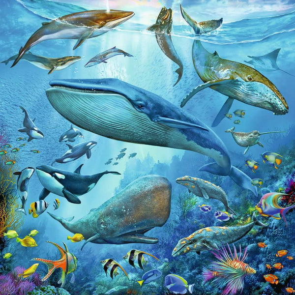 Ocean Life (3x49pc)