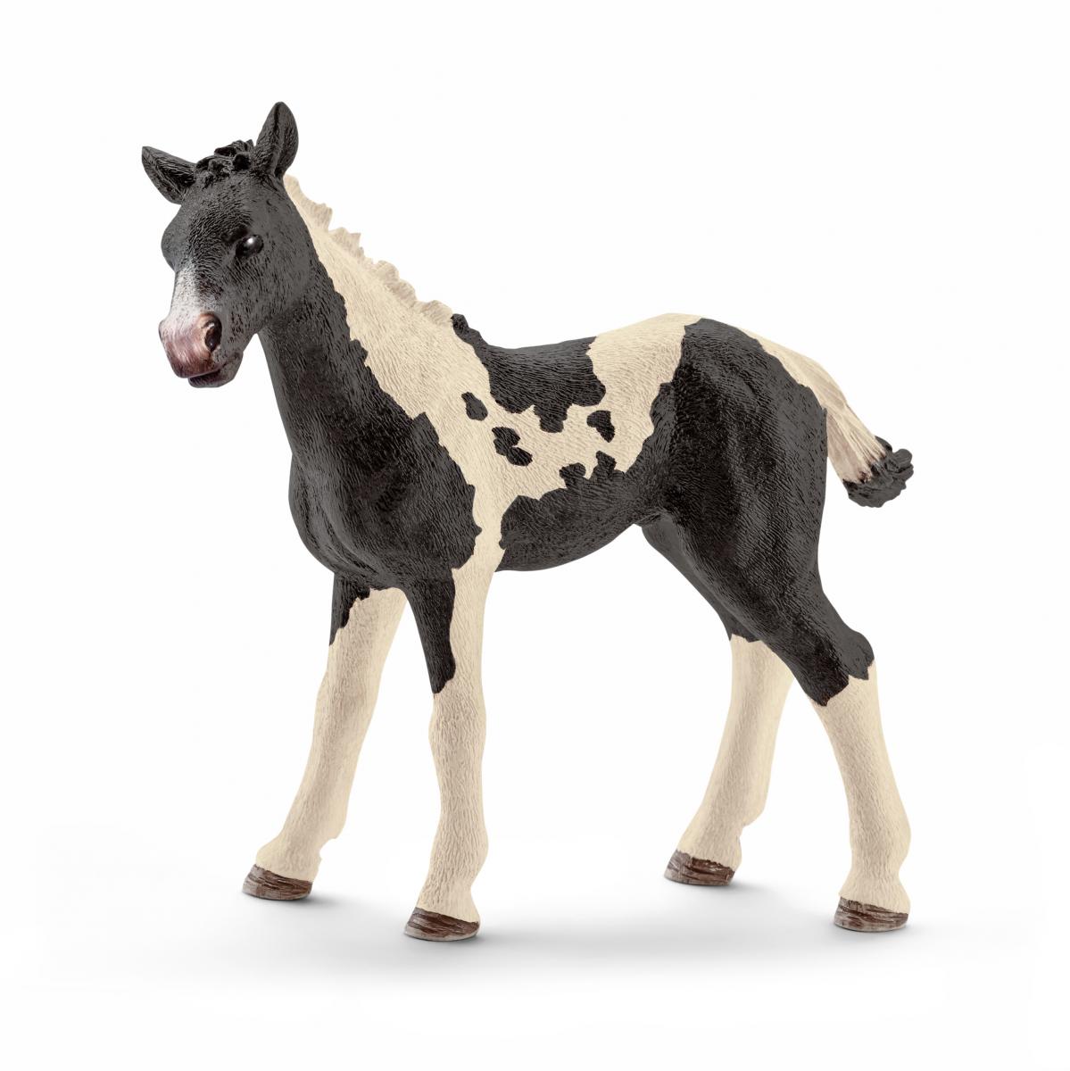 Pinto Foal (Schleich #13803)