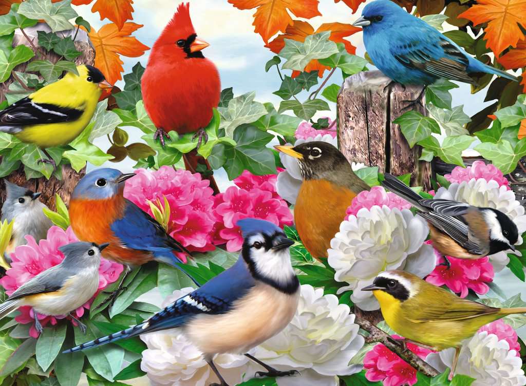 Garden Birds (500 piece)