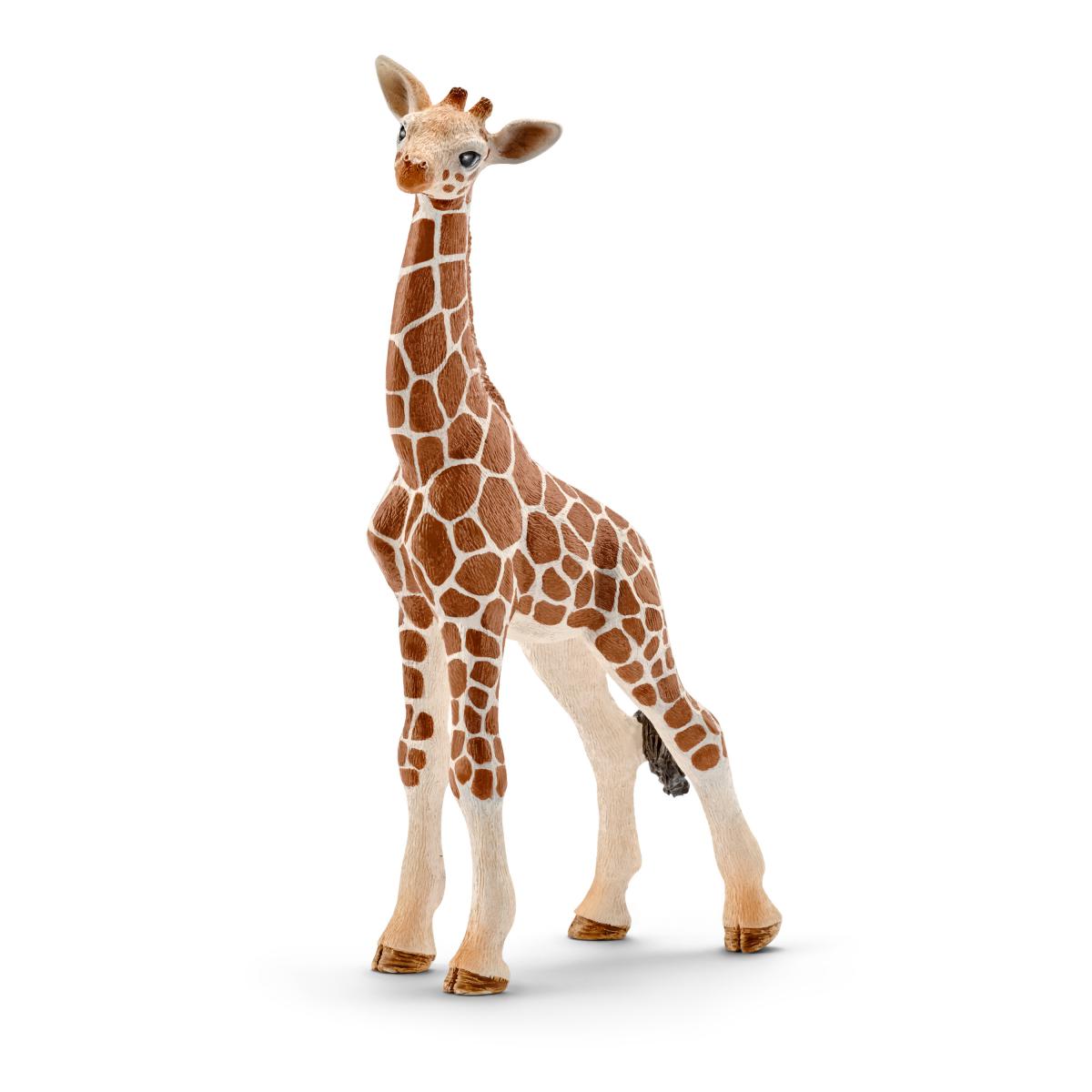 Giraffe Calf (Schleich #14751)