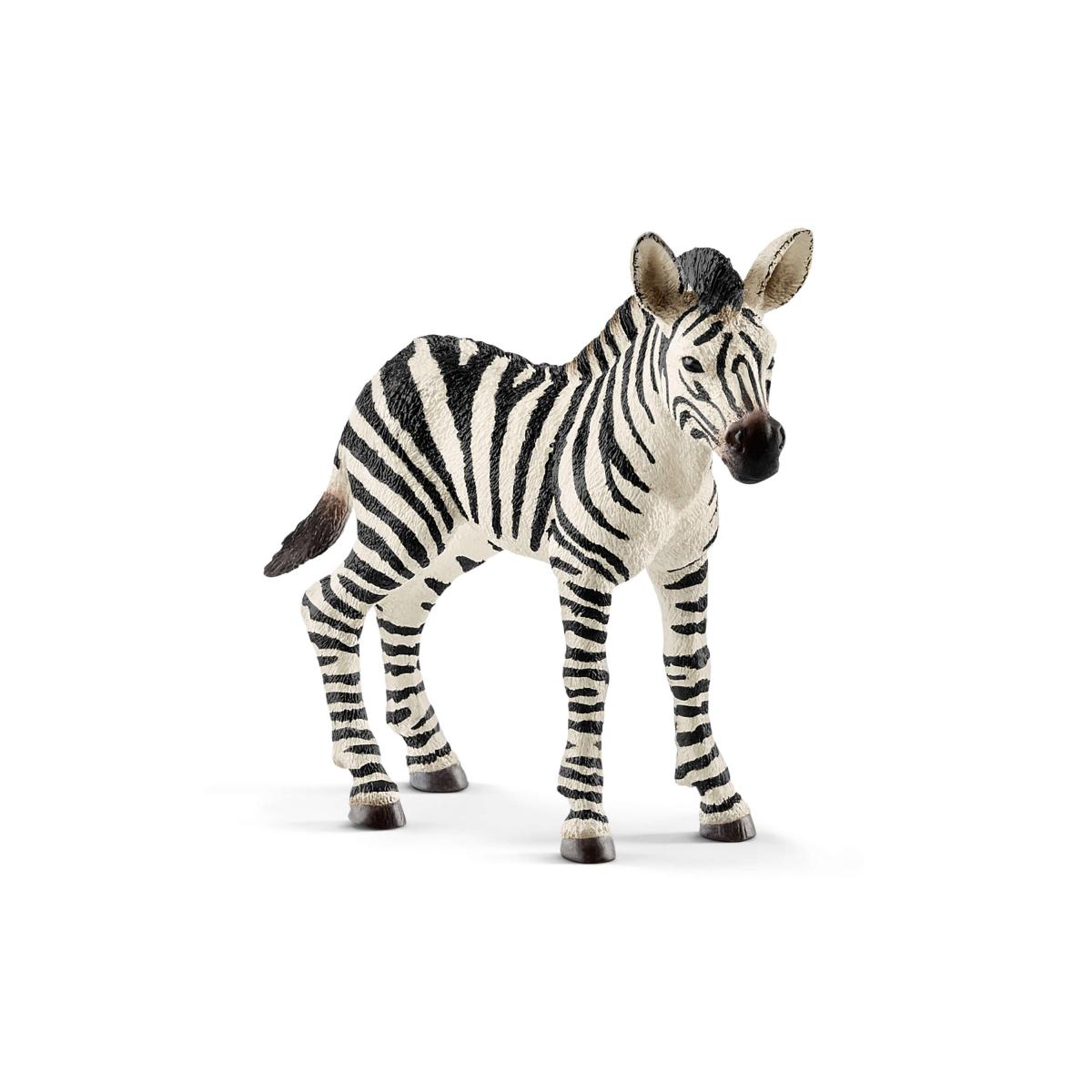 Zebra foal (Schleich #14811)
