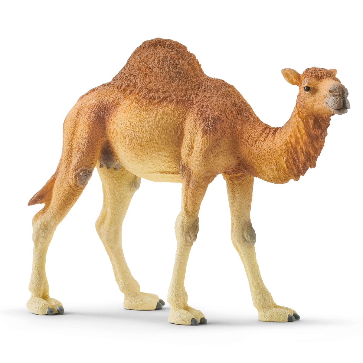 Dromedary Camel (Schleich #14832)