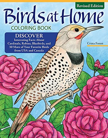 Birds at Home Colouring Book