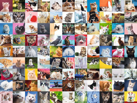 99 Cats (1500 piece) *