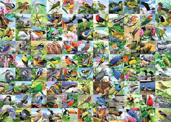 99 Delightful Birds (300 piece LARGE)