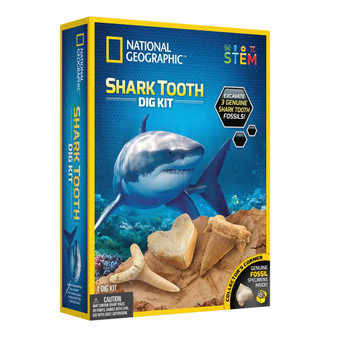 Shark Tooth Dig Kit (National Geographic)