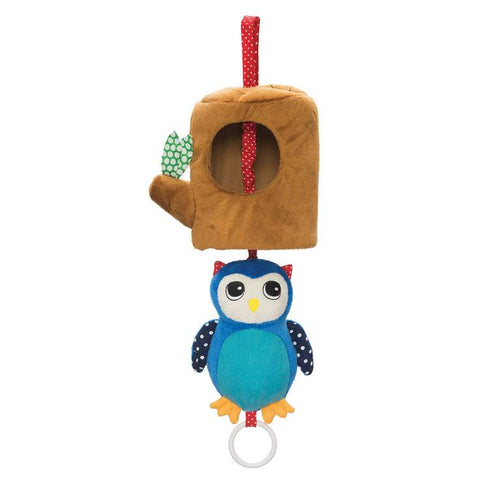 Lullaby Owl Activity Toy