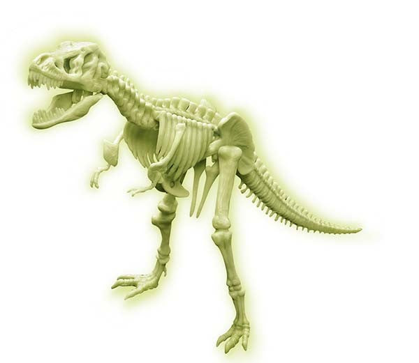 Glow T-Rex Skeleton (Sci Bits)