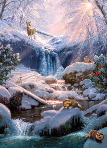Mystic Falls in Winter