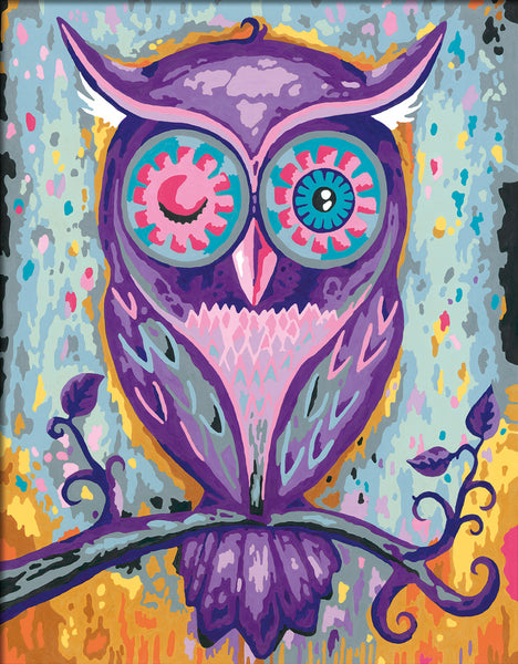 Dreaming Owl (CreArt Painting by Number)
