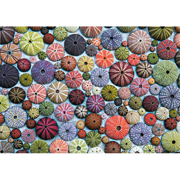 Sea Urchins (1000pc by Piatnik)