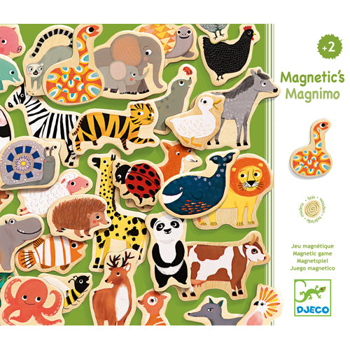Magnetic Game (by Djeco)