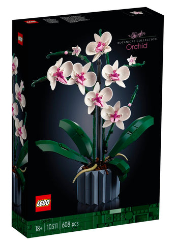 Botanical Collection: Orchid (10311)