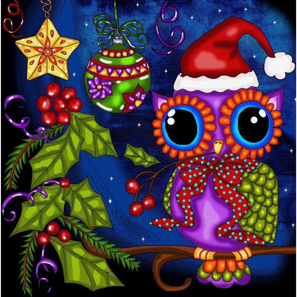 Jacarou Diamond Art - Owly Night