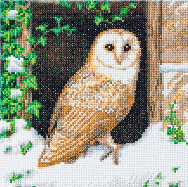 D.I.Y. Crystal Art (Canvas Kit)