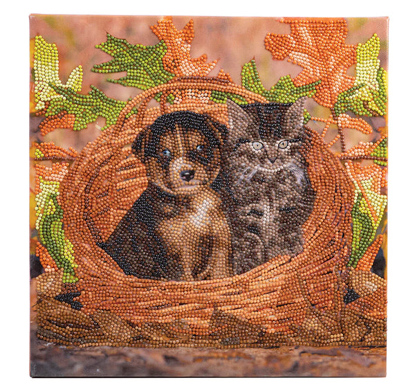 D.I.Y. Crystal Art (Canvas Kit)