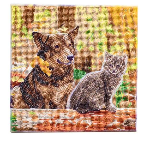D.I.Y. Crystal Art (Canvas Kit)