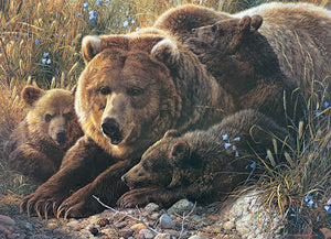 Grizzly Family*