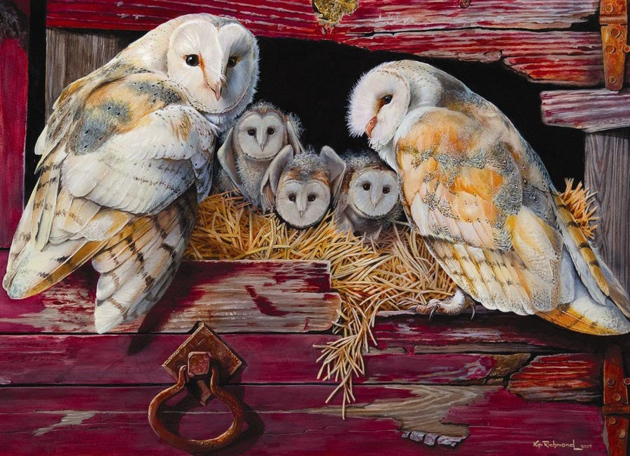 Barn Owls*