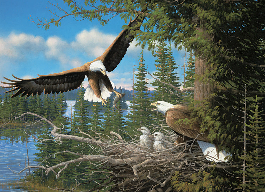 Nesting Eagles