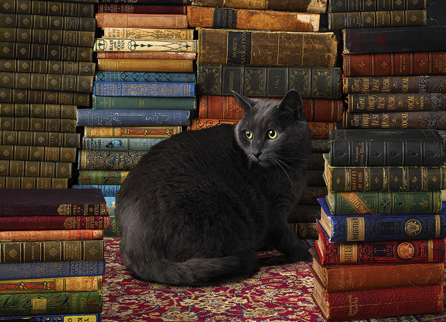 Library Cat*
