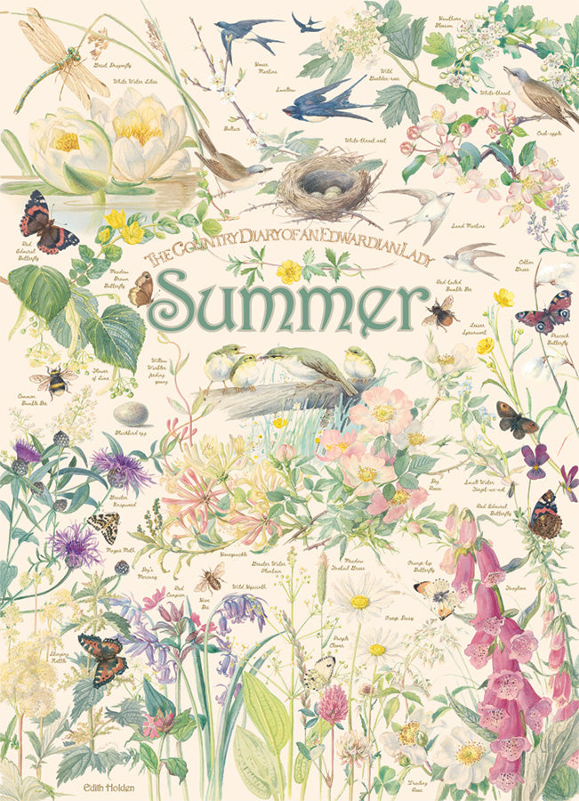 Country Diary: Summer