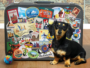 Dachshund 'Round the World*