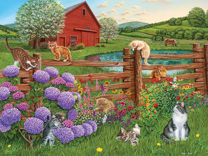 Farm Cats