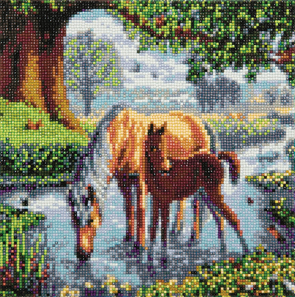 D.I.Y. Crystal Art (Canvas Kit)