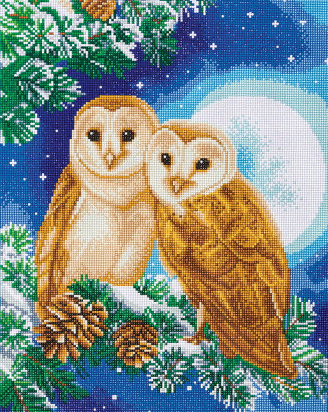 D.I.Y. Crystal Art (Canvas Kit)