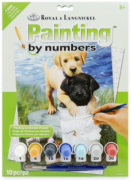Paint by Number (Standard)